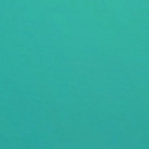 Meet your Posher, Kell